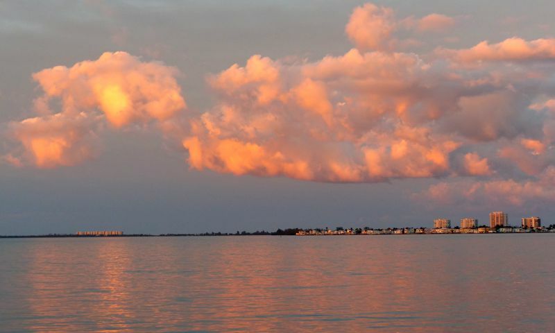 Click to See Next Image